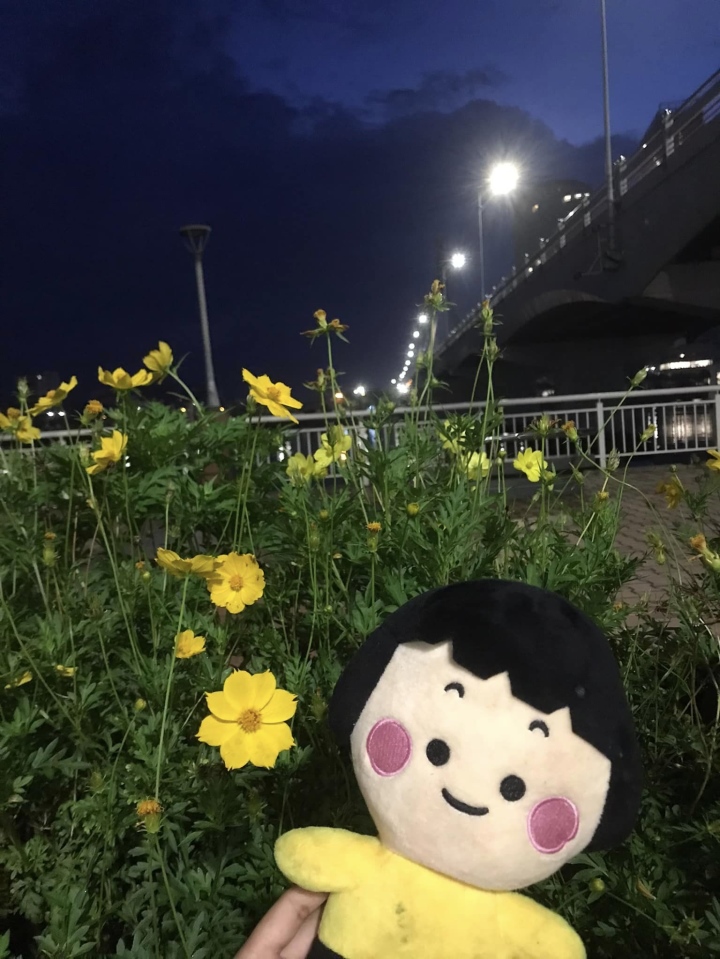 Nữ sinh ra cầu sông Hàn học bài lúc 4h sáng, bất ngờ nhận được món quà đặc biệt - 1