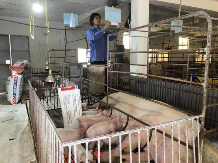 Giá thịt lợn có tăng đột biến trong dịp Tết Quý Mão? - 1
