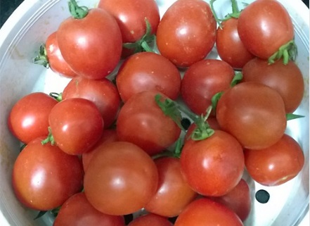 Cà chua vào mùa vừa rẻ vừa ngon nhưng đừng mắc sai lầm này, 6 điều nhất định phải tránh khi ăn - 1