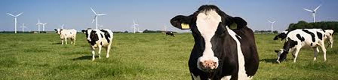 Nguyên liệu bơ sữa Hoa Kỳ: lợi thế cho sự đổi mới & phát triển bền vững - 1
