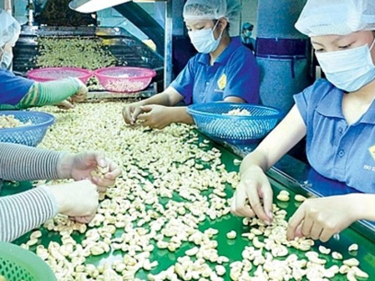 Loại hạt Việt Nam cung cấp cho cả thế giới ăn, giá không rẻ như ”mỏ vàng”