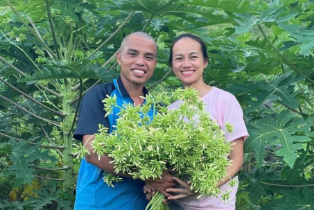Khởi nghiệp với loại cây từng bị chặt bỏ, 8x Hoà Bình thu hàng chục triệu đồng/tháng