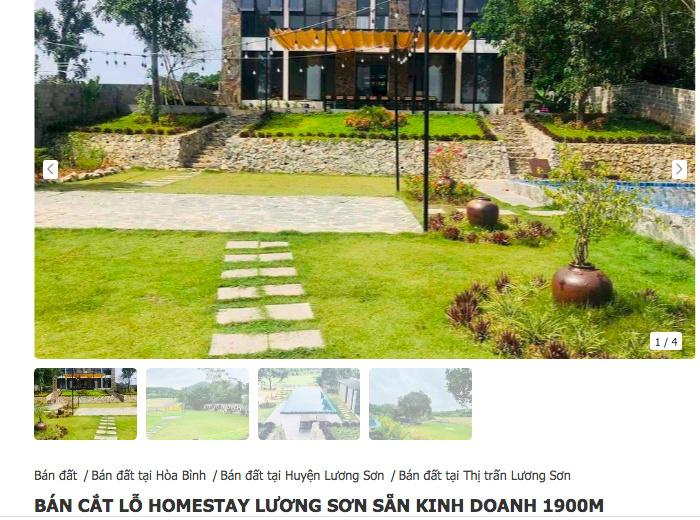 Cạn tiền, nhà đầu tư rầm rộ cắt lỗ homestay - 1