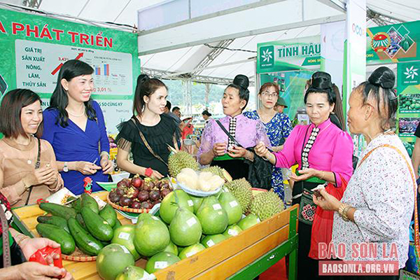 Sơn La hội tụ và phát triển - 1