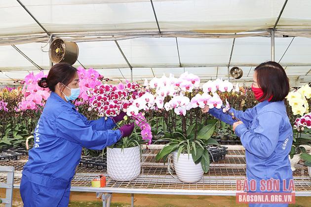 Hướng tới trung tâm phát triển nông nghiệp ứng dụng công nghệ cao vùng Tây Bắc - 1