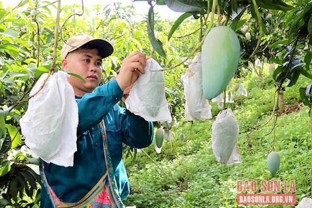 Hướng tới trung tâm phát triển nông nghiệp ứng dụng công nghệ cao vùng Tây Bắc - 3