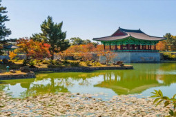 Du lịch - Khám phá Gyeongju, thành phố cổ xinh đẹp nổi tiếng ở Hàn Quốc