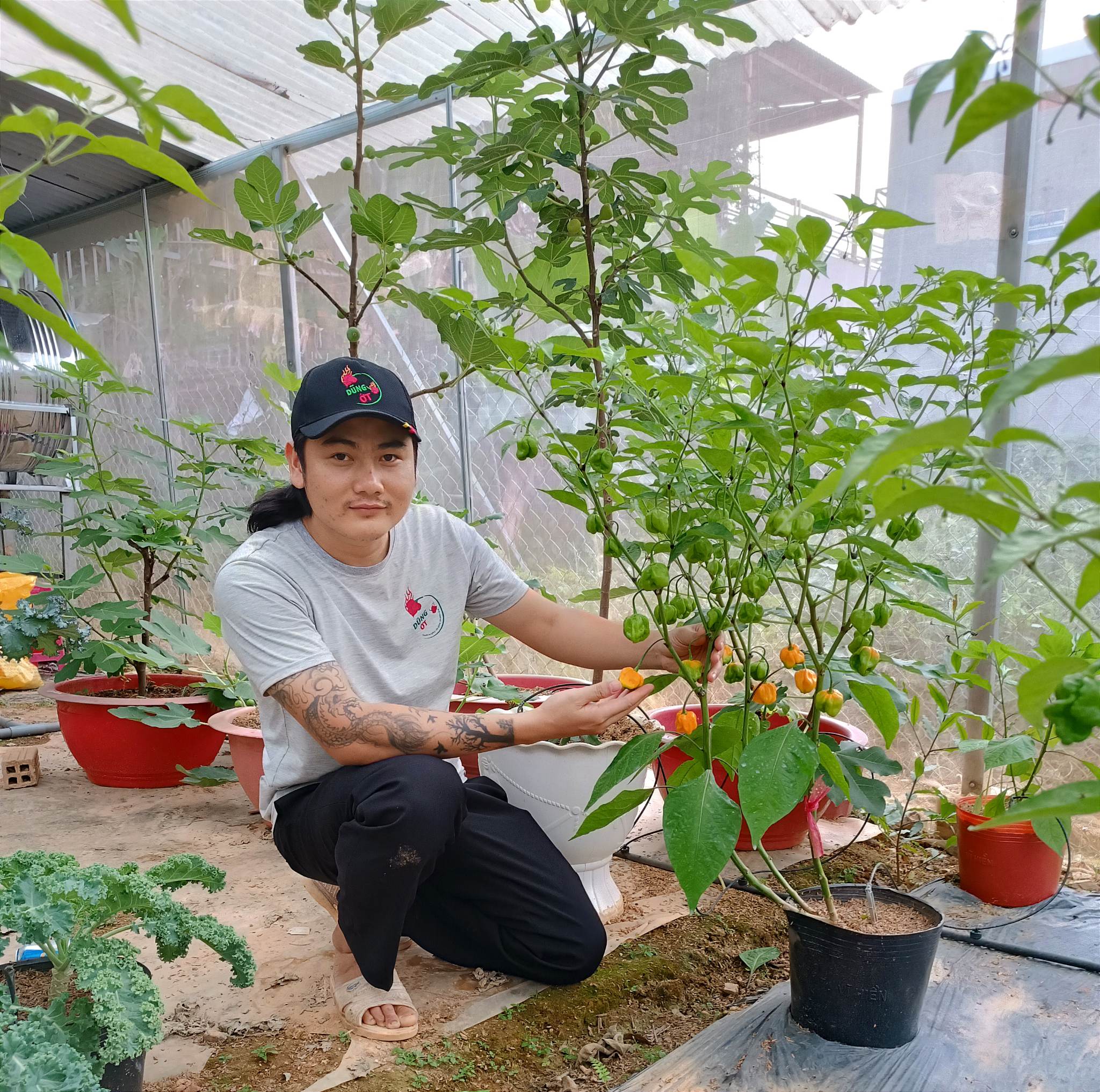 Trồng loại cây quen thuộc chỉ bán giống, 9X Lâm Đồng có ngày thu về 30 triệu đồng - 1