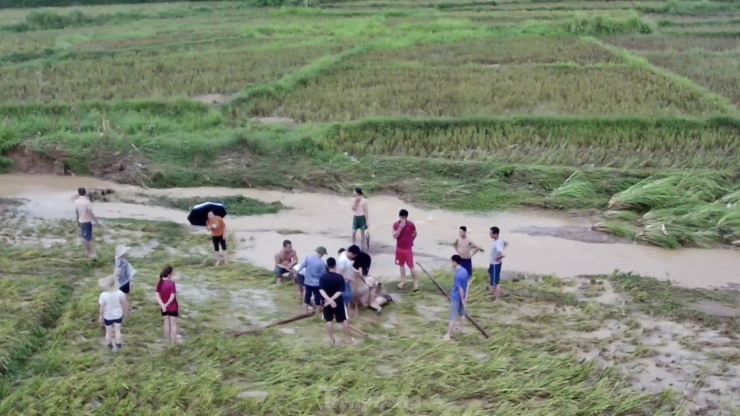 Mưa lớn ở Yên Bái khiến giao thông tê liệt, tạm dừng chạy tàu Hà Nội-Lào Cai - 9