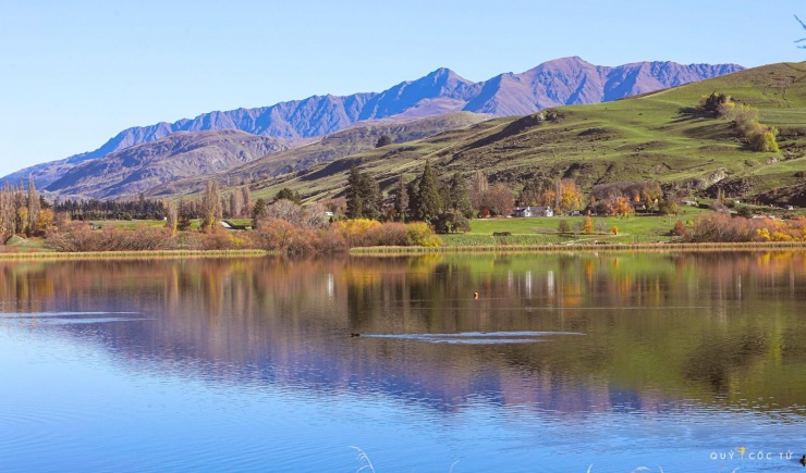 Khám phá "thánh địa" chim hoang dã bất khả xâm phạm giữa biển trời Côn Đảo 7 Hồ Wanaka - Vẻ đẹp siêu thực của vùng đất Kiwi - 6