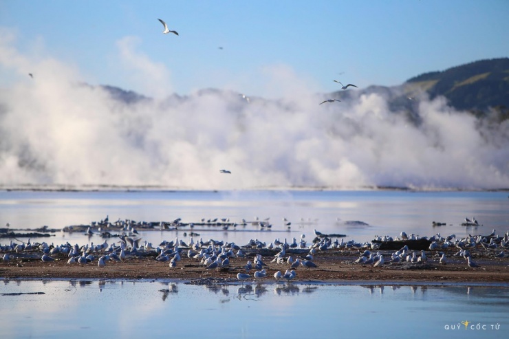 Khám phá "thánh địa" chim hoang dã bất khả xâm phạm giữa biển trời Côn Đảo 12 Hồ Wanaka - Vẻ đẹp siêu thực của vùng đất Kiwi - 11