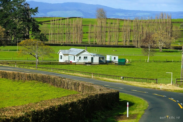 Khám phá "thánh địa" chim hoang dã bất khả xâm phạm giữa biển trời Côn Đảo 13 Hồ Wanaka - Vẻ đẹp siêu thực của vùng đất Kiwi - 12