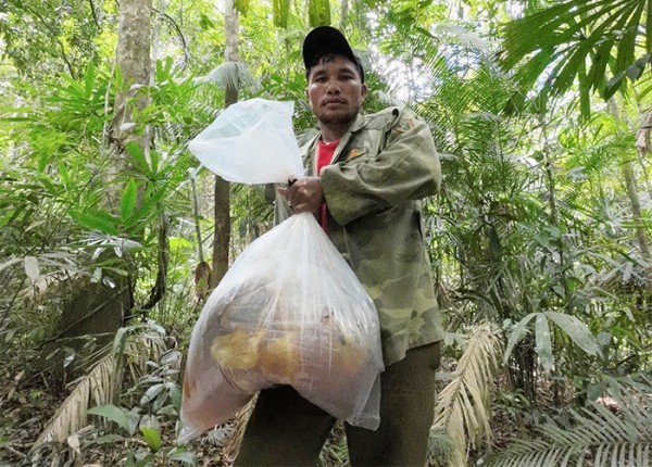 Săn “lộc rừng” ở đại ngàn Trường Sơn - 1