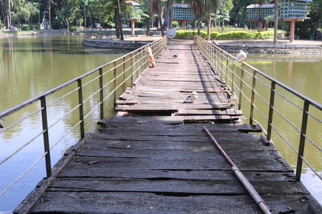 Hiện trạng 3 công viên ở Hà Nội được chi hàng trăm tỷ đồng để cải tạo - 1