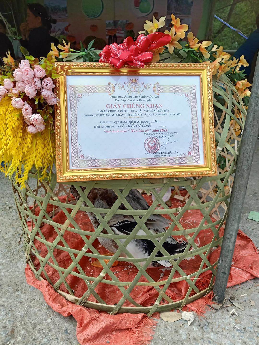 Độc lạ Lạng Sơn: Tổ chức cuộc thi “Hoa hậu vịt” - 3