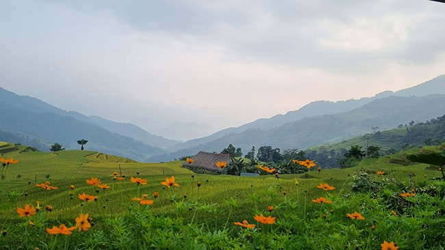 Những mái nhà rêu có một không hai tại bản người Dao bên sườn Tây Côn Lĩnh. - 5