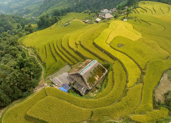 Những mái nhà rêu có một không hai tại bản người Dao bên sườn Tây Côn Lĩnh. - 11