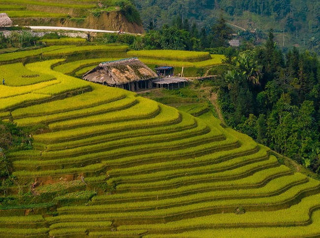 Những mái nhà rêu có một không hai tại bản người Dao bên sườn Tây Côn Lĩnh. - 12