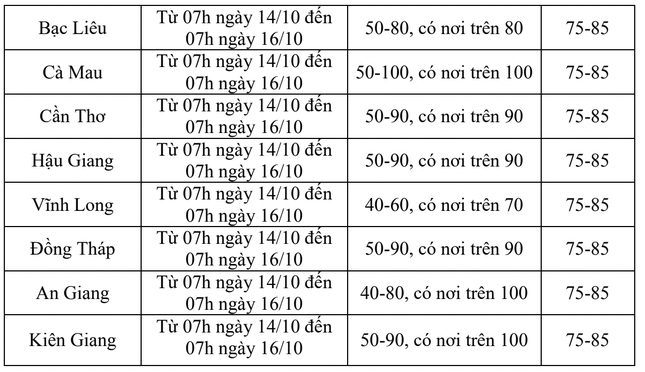 Nam bộ mưa rất lớn kèm triều cường trong hai ngày cuối tuần - 3