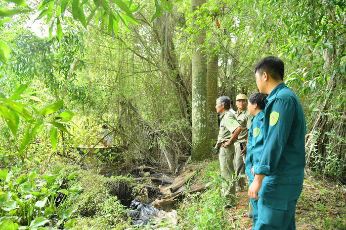 Chưa tìm được 6 cá sấu sổng chuồng ở Kiên Giang - 3