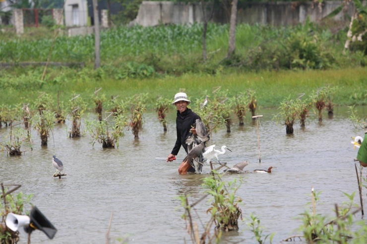 Cận cảnh "nước mắt" chim trời hoang dã sa bẫy ở Thanh Hóa - 2