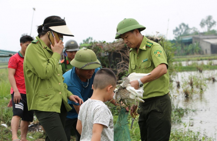 Cận cảnh "nước mắt" chim trời hoang dã sa bẫy ở Thanh Hóa - 14