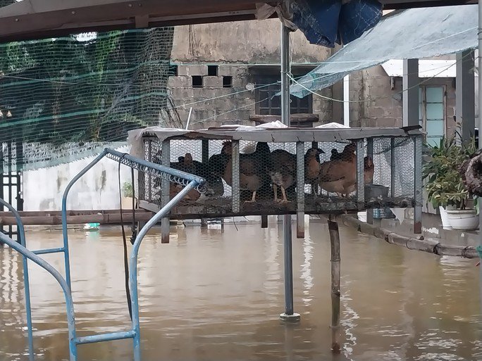 Cận cảnh ngập lụt ở hạ du Thủy điện Hương Điền - 16