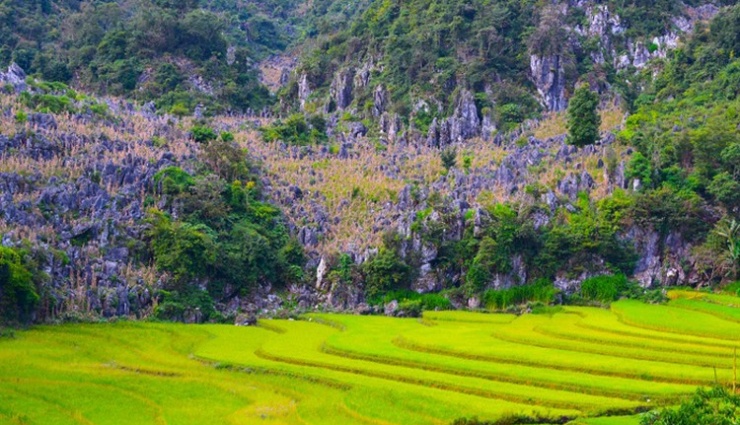 Ngỡ ngàng ruộng bậc thang đẹp như tranh vẽ - 2