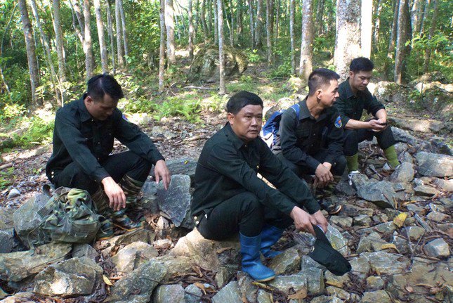 Chuyện vụn đại ngàn: Chuyến thăm các đại lão mộc - 2