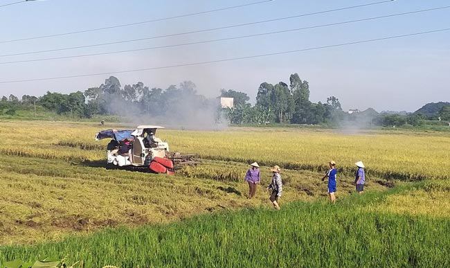 Hàng loạt chính sách quan trọng có hiệu lực từ tháng 11/2023 - 1