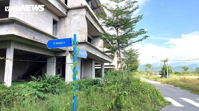 Khung cảnh hoang tàn trong khu biệt thự nghìn tỷ cho chuyên gia bị bỏ hoang ở Đà Nẵng - 3