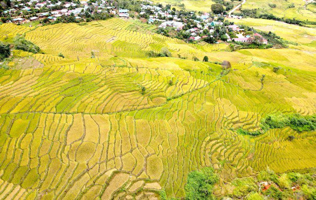 Cảnh thiên nhiên cao nguyên cùng ruộng bậc thang bên đỉnh Ngọc Linh đẹp nao lòng - 5