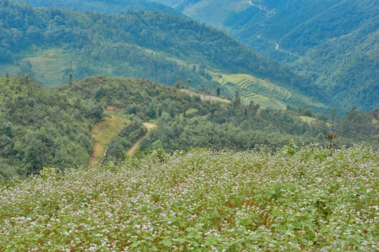 Hà Giang: Địa đầu Tổ quốc mở ra những trải nghiệm tuyệt vời - 3