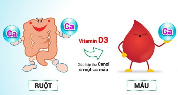 5 sự thật về vitamin D3K2 - đâu mới là yếu tố giúp trẻ phát triển chiều cao? - 1