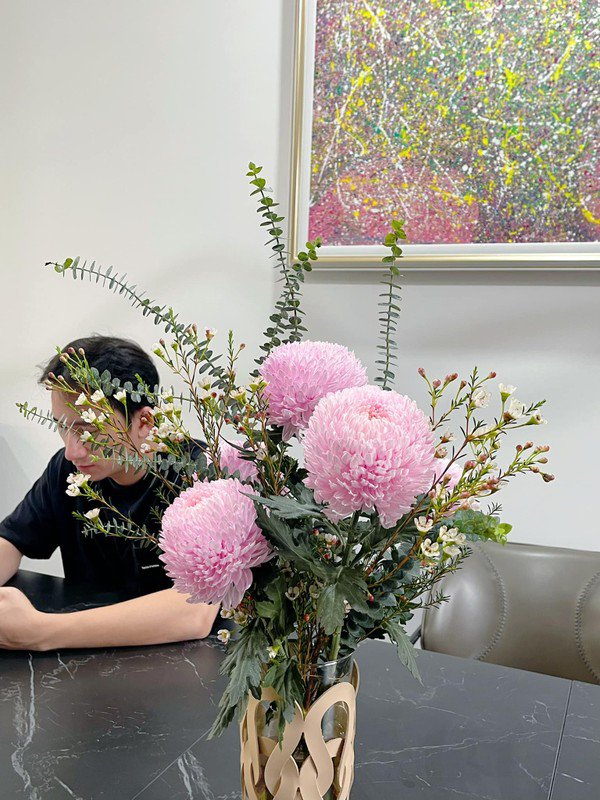 Cận cảnh nhà mới khang trang của vợ chồng Phan Mạnh Quỳnh - 3