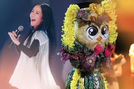 Diva âm nhạc bị "vùi dập" khi tham gia gameshow: Cô "Bống" Hồng Nhung có bị oan?