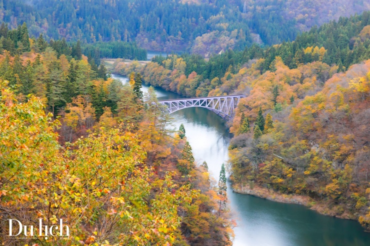 Fukushima ngày trở lại: Sắc thu đỏ thẫm ấm áp tình người - 22