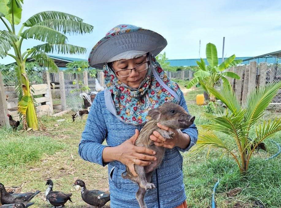 Bỏ phố về quê khởi nghiệp, 8x Bình Thuận có thu nhập hơn 300 triệu đồng/năm - 3