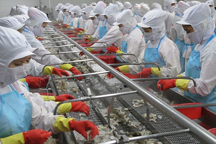 “Vua tôm” bất ngờ chi gần 633 tỷ đồng xây nhà ở xã hội - 2