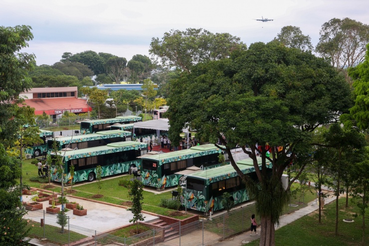 Thú vị loạt xe bus biến thành phòng khách sạn sang trọng - 1