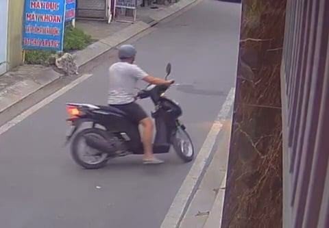 Bắt nghi phạm giả làm từ thiện, lừa 2 cây vàng của cụ già ở Thủ Đức - 1