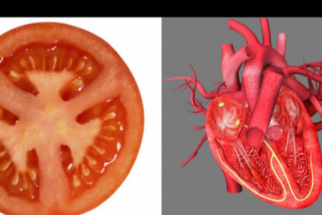 Điều bất ngờ khi ăn mỗi ngày một quả cà chua