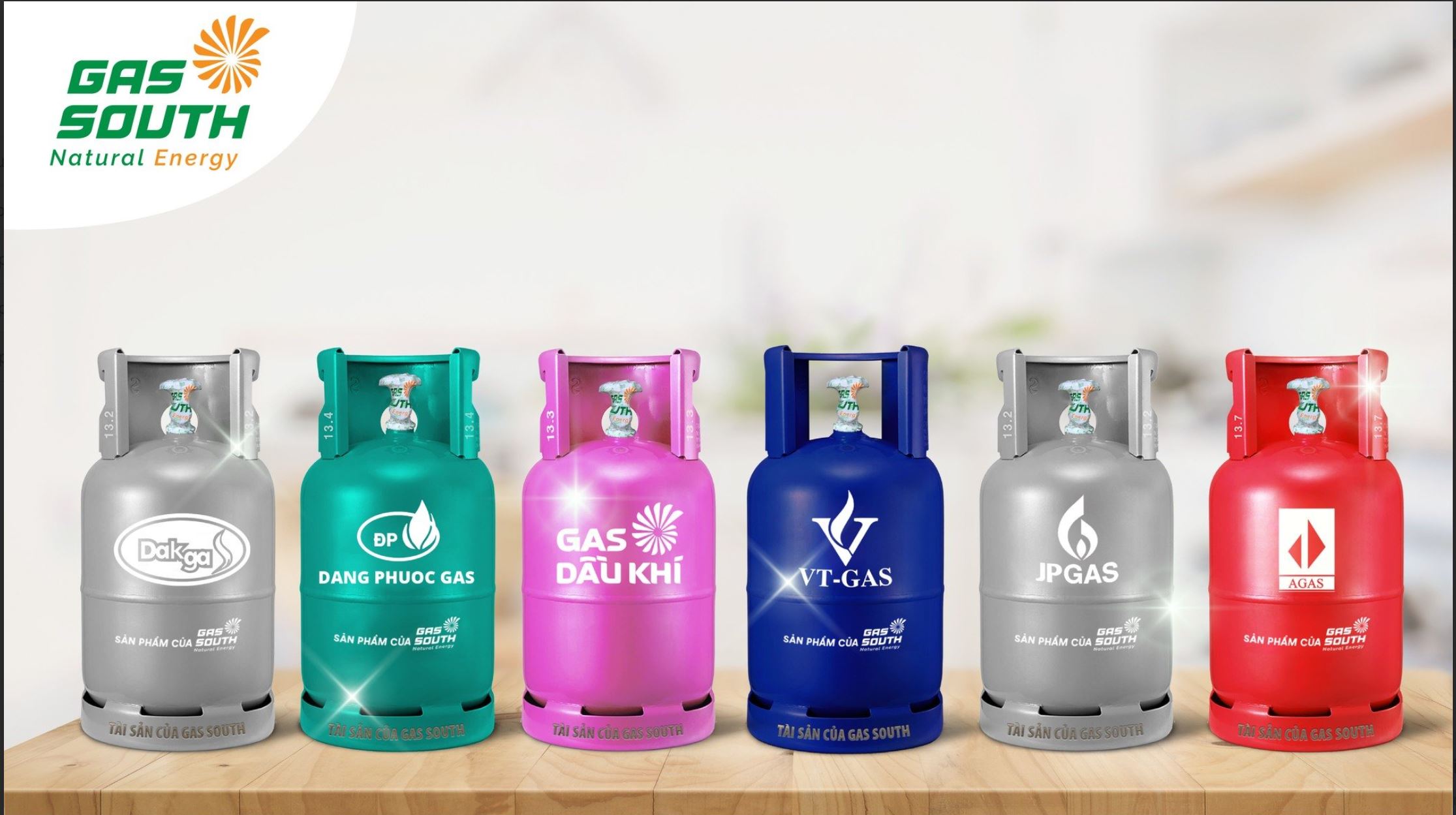 Gas South – Doanh nghiệp cung cấp năng lượng uy tín tại phía Nam - 4